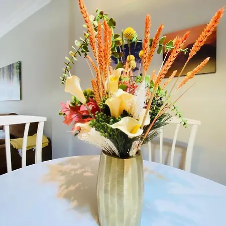 Apartament Bilbao Aeropuerto Derio